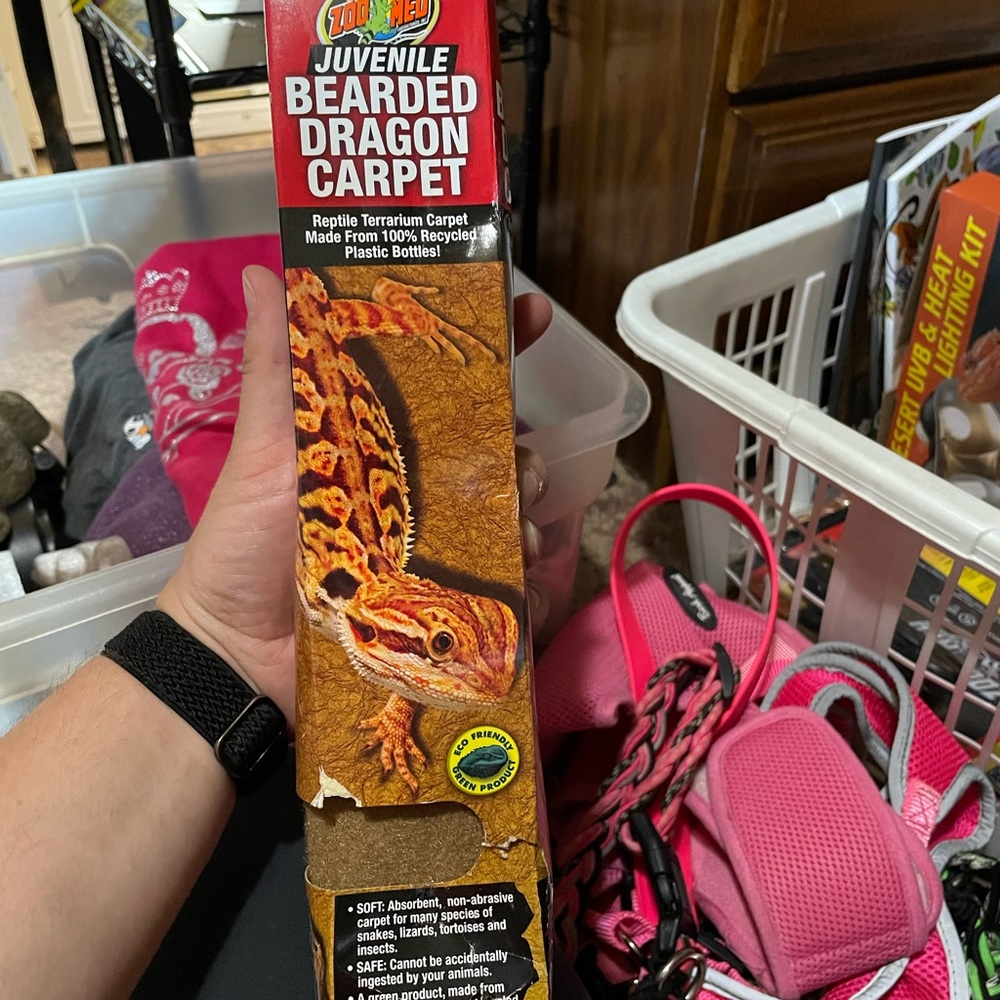 Bearded Dragon Carpet